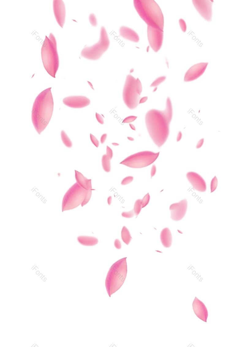 元素图片,插画元素,白色背景PNG,花瓣免抠素材